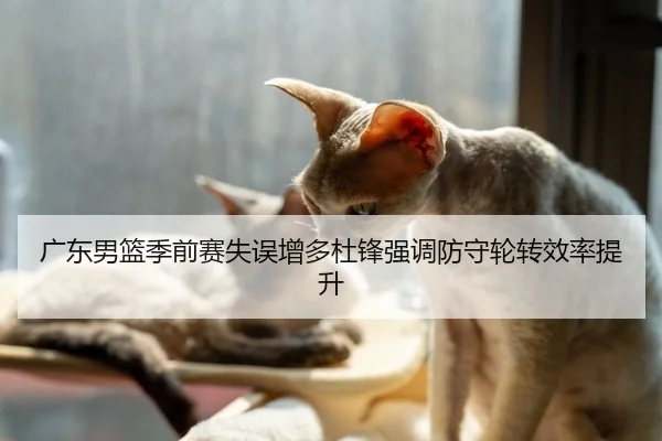 广东男篮季前赛失误增多杜锋强调防守轮转效率提升